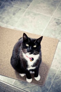 Daddy, you gonna give me food?