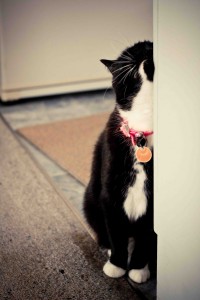 Scratch