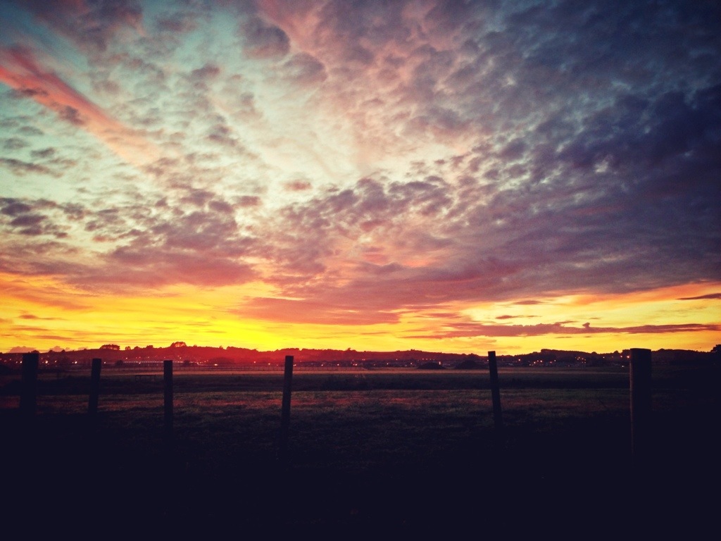 20130419-084117.jpg